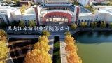 黑龙江旅游职业学院怎么样,黑龙江民族职业学院离黑龙江旅游职业学院多远