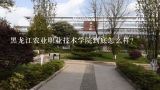 黑龙江农业职业技术学院到底怎么样？