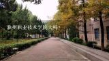 滁州职业技术学院大吗？滁州学院与滁州职业技术学院哪个好
