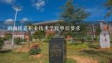 湖南铁道职业技术学院单招要求,湖南铁道职业技术学院是怎样单招录取的