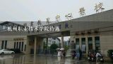 杭州职业技术学院待遇