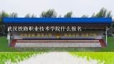 武汉铁路职业技术学院什么报名,2020年湖南九嶷职业技术学院招生简章