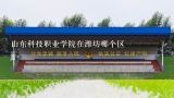 山东科技职业学院在潍坊哪个区,山东科技职业学院属于什么 性质