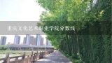 重庆文化艺术职业学院分数线,重庆艺术工程职业学院拿的是专科文凭吗
