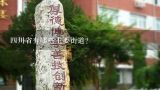 四川省有哪些主要街道?