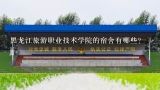 黑龙江旅游职业技术学院的宿舍有哪些?