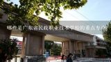 哪些是广东省民政职业技术学校的重点专业?