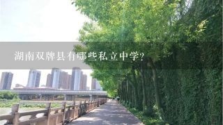 湖南双牌县有哪些私立中学？