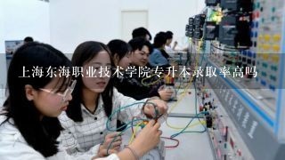 上海东海职业技术学院专升本录取率高吗
