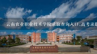 云南农业职业技术学院录取查询入口,高考录取结果查