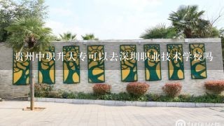 贵州中职升大专可以去深圳职业技术学校吗
