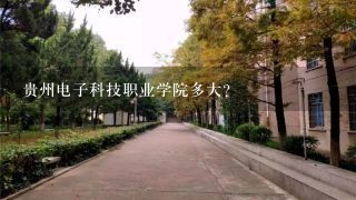 贵州电子科技职业学院多大？