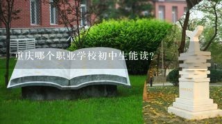 重庆哪个职业学校初中生能读？