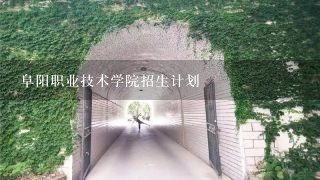 阜阳职业技术学院招生计划