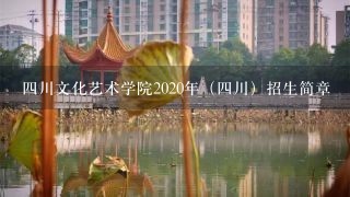 四川文化艺术学院2020年（四川）招生简章