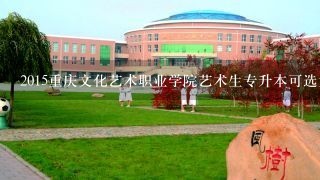 2015重庆文化艺术职业学院艺术生专升本可选大学