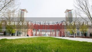 芜湖职业技术学院和安徽医学高等专科学校哪个好？
