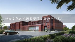 云南文化艺术职业学院是开放学校吗？