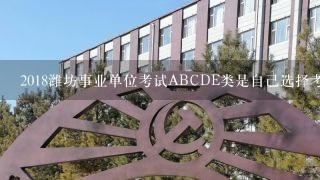 2018潍坊事业单位考试ABCDE类是自己选择考哪一个类