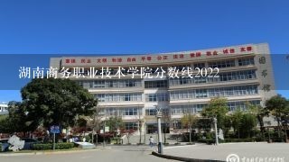 湖南商务职业技术学院分数线2022