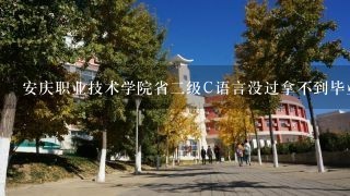 安庆职业技术学院省二级C语言没过拿不到毕业证吗？