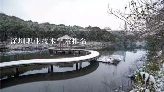 深圳职业技术学院排名