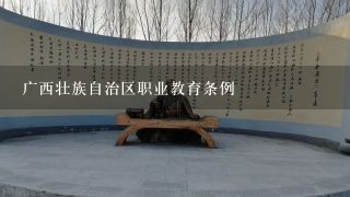广西壮族自治区职业教育条例