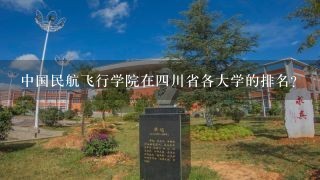 中国民航飞行学院在四川省各大学的排名？