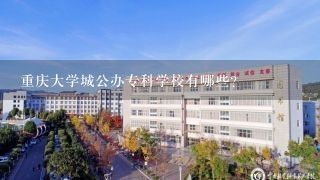 重庆大学城公办专科学校有哪些？