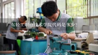 广东轻工职业技术学院代码是多少？