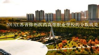 2013江苏省徐州医药高等职业学校的分数线是多少