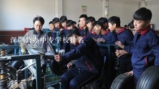 深圳公办中专学校排名