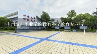 柳州城市职业学院设有小学教育专业吗