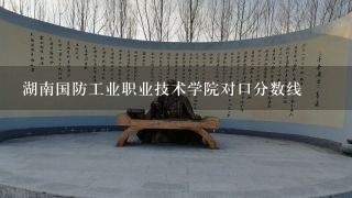 湖南国防工业职业技术学院对口分数线