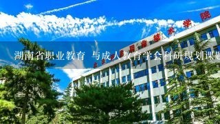 湖南省职业教育 与成人教育学会科研规划课题属于什么级别