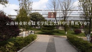 云南林业职业技术学院怎么样学计算机专业？