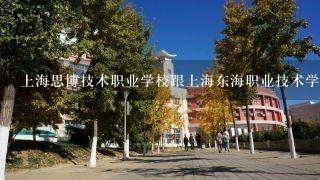 上海思博技术职业学校跟上海东海职业技术学院学期教育专业那个好？