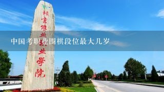 中国考职业围棋段位最大几岁