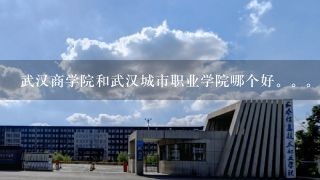武汉商学院和武汉城市职业学院哪个好。。