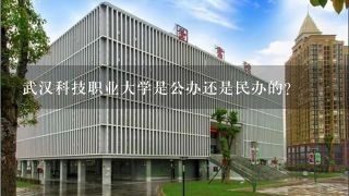武汉科技职业大学是公办还是民办的？