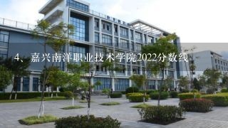 嘉兴南洋职业技术学院2022分数线