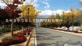 贵州省毕节市大方县的学校有哪些
