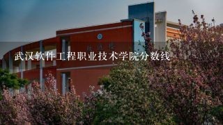 武汉软件工程职业技术学院分数线