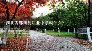 湖北省郧西县职业中学叫什么？