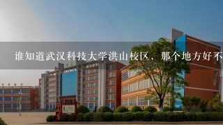 谁知道武汉科技大学洪山校区，那个地方好不好，和长江工程职业技术学院比哪个好？