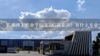 广东理工职业学院是3A,还是3b？有什么专业？
