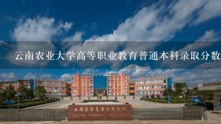 云南农业大学高等职业教育普通本科录取分数线是多少