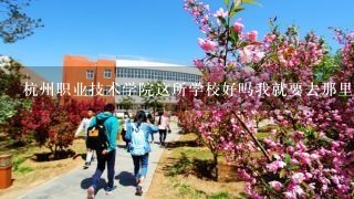 杭州职业技术学院这所学校好吗我就要去那里读，谁能介？