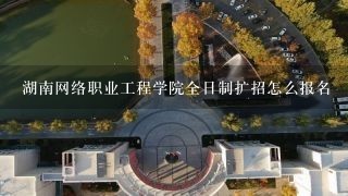 湖南网络职业工程学院全日制扩招怎么报名