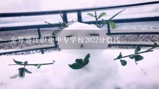 金井晋江职业中专学校2022分数线